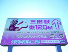 ミュウ北面.jpg