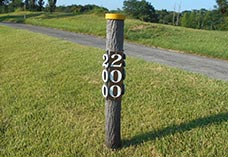 280721兵庫県吉川町01.jpg
